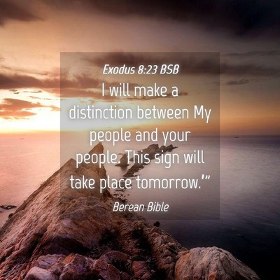 Picture 04 - Exodus 8:23 BSB - I will make a distinction between My people and - Bible Verse Picture