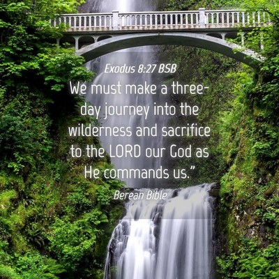 Picture 04 - Exodus 8:27 BSB - We must make a three-day journey into the - Bible Verse Picture
