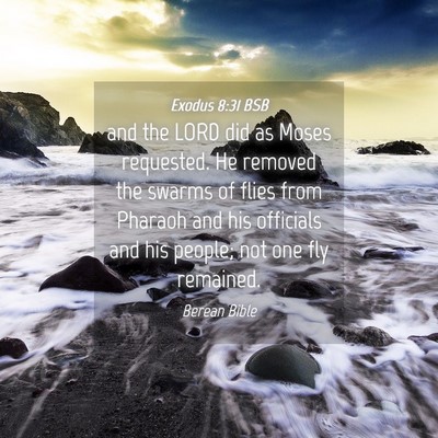 Picture 04 - Exodus 8:31 BSB - and the LORD did as Moses requested. He removed - Bible Verse Picture