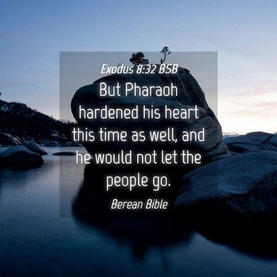 Picture 04 - Exodus 8:32 BSB - But Pharaoh hardened his heart this time as well, - Bible Verse Picture