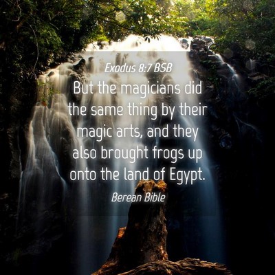 Picture 04 - Exodus 8:7 BSB - But the magicians did the same thing by their - Bible Verse Picture