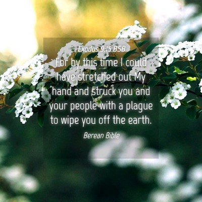 Picture 04 - Exodus 9:15 BSB - For by this time I could have stretched out My - Bible Verse Picture