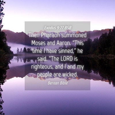 Picture 04 - Exodus 9:27 BSB - Then Pharaoh summoned Moses and Aaron. “This - Bible Verse Picture