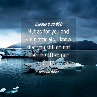 Picture 04 - Exodus 9:30 BSB - But as for you and your officials, I know that - Bible Verse Picture