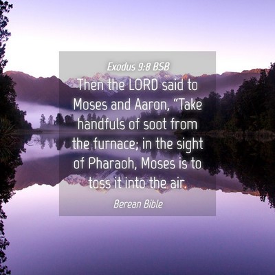 Picture 04 - Exodus 9:8 BSB - Then the LORD said to Moses and Aaron, “Take - Bible Verse Picture
