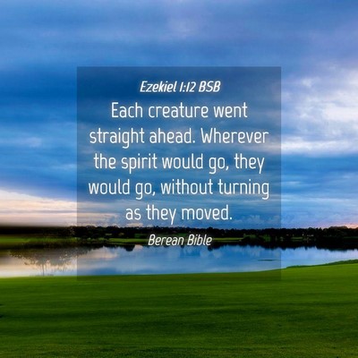 Picture 04 - Ezekiel 1:12 BSB - Each creature went straight ahead. Wherever the - Bible Verse Picture
