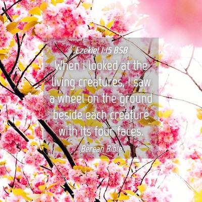 Picture 04 - Ezekiel 1:15 BSB - When I looked at the living creatures, I saw a - Bible Verse Picture
