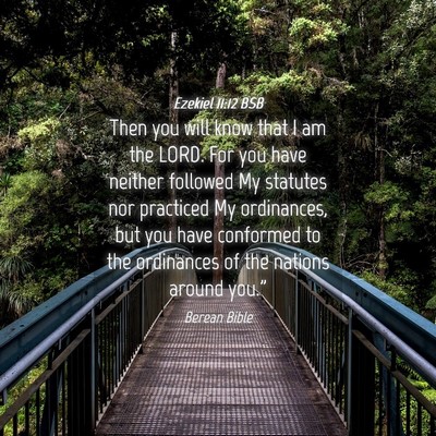 Picture 04 - Ezekiel 11:12 BSB - Then you will know that I am the LORD. For you - Bible Verse Picture