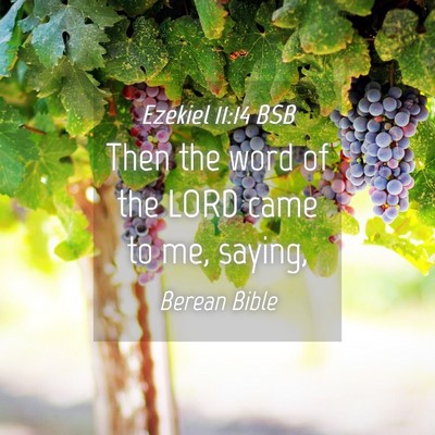 Picture 04 - Ezekiel 11:14 BSB - Then the word of the LORD came to me, - Bible Verse Picture