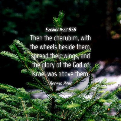 Picture 04 - Ezekiel 11:22 BSB - Then the cherubim, with the wheels beside them, - Bible Verse Picture