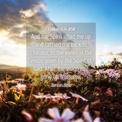 Picture 04 - Ezekiel 11:24 BSB - And the Spirit lifted me up and carried me back - Bible Verse Picture
