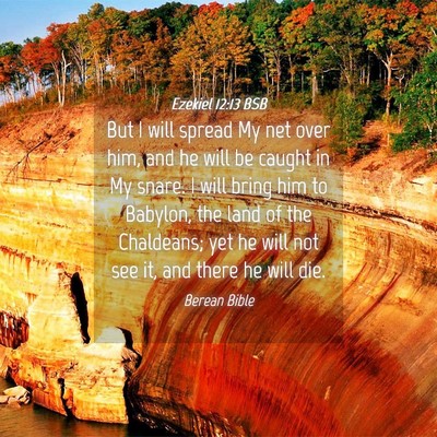 Picture 04 - Ezekiel 12:13 BSB - But I will spread My net over him, and he will be - Bible Verse Picture