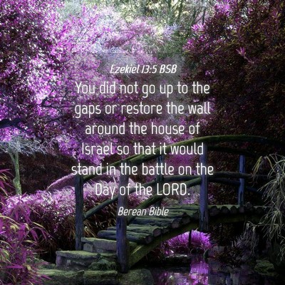 Picture 04 - Ezekiel 13:5 BSB - You did not go up to the gaps or restore the wall - Bible Verse Picture