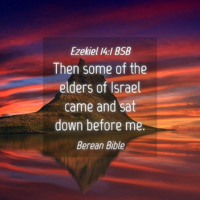 Picture 04 - Ezekiel 14:1 BSB - Then some of the elders of Israel came and sat - Bible Verse Picture