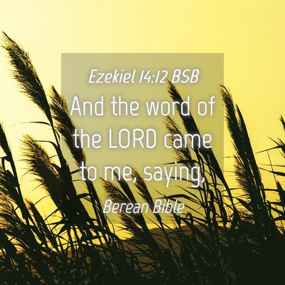Picture 04 - Ezekiel 14:12 BSB - And the word of the LORD came to me, - Bible Verse Picture