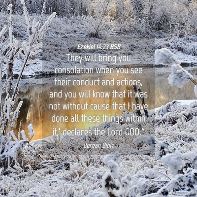 Picture 04 - Ezekiel 14:23 BSB - They will bring you consolation when you see - Bible Verse Picture