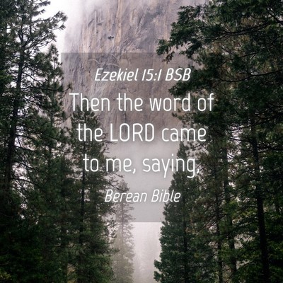 Picture 04 - Ezekiel 15:1 BSB - Then the word of the LORD came to me, - Bible Verse Picture