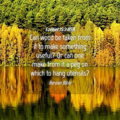 Picture 04 - Ezekiel 15:3 BSB - Can wood be taken from it to make something - Bible Verse Picture