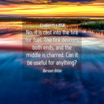 Picture 04 - Ezekiel 15:4 BSB - No, it is cast into the fire for fuel. The fire - Bible Verse Picture
