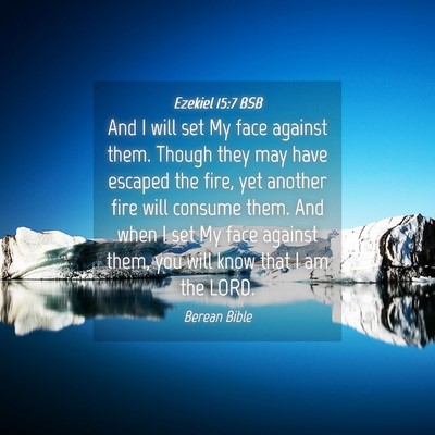 Picture 04 - Ezekiel 15:7 BSB - And I will set My face against them. Though they - Bible Verse Picture