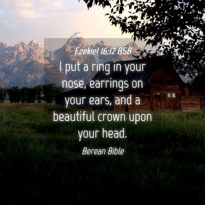 Picture 04 - Ezekiel 16:12 BSB - I put a ring in your nose, earrings on your ears, - Bible Verse Picture