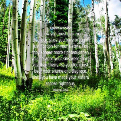 Picture 04 - Ezekiel 16:52 BSB - So now you must bear your disgrace, since you - Bible Verse Picture