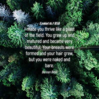 Picture 04 - Ezekiel 16:7 BSB - I made you thrive like a plant of the field. You - Bible Verse Picture