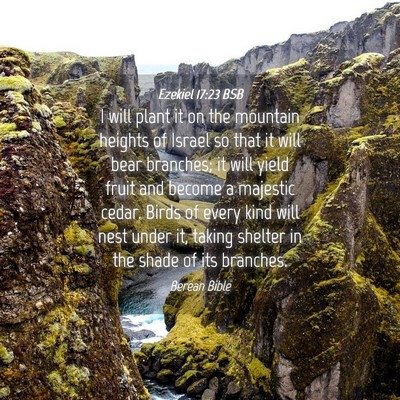 Picture 04 - Ezekiel 17:23 BSB - I will plant it on the mountain heights of Israel - Bible Verse Picture