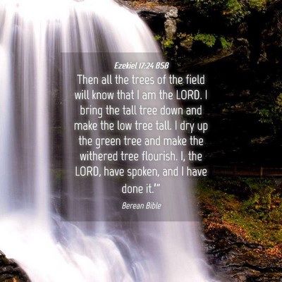 Picture 04 - Ezekiel 17:24 BSB - Then all the trees of the field will know that I - Bible Verse Picture