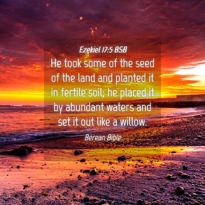 Picture 04 - Ezekiel 17:5 BSB - He took some of the seed of the land and planted - Bible Verse Picture