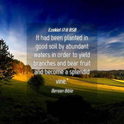 Picture 04 - Ezekiel 17:8 BSB - It had been planted in good soil by abundant - Bible Verse Picture
