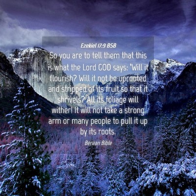 Picture 04 - Ezekiel 17:9 BSB - So you are to tell them that this is what the - Bible Verse Picture
