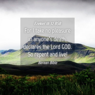 Picture 04 - Ezekiel 18:32 BSB - For I take no pleasure in anyone’s death, - Bible Verse Picture