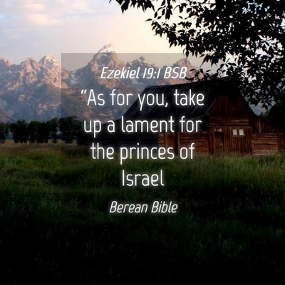 Picture 04 - Ezekiel 19:1 BSB - “As for you, take up a lament for the princes - Bible Verse Picture