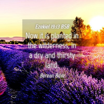 Picture 04 - Ezekiel 19:13 BSB - Now it is planted in the wilderness, in a dry and - Bible Verse Picture