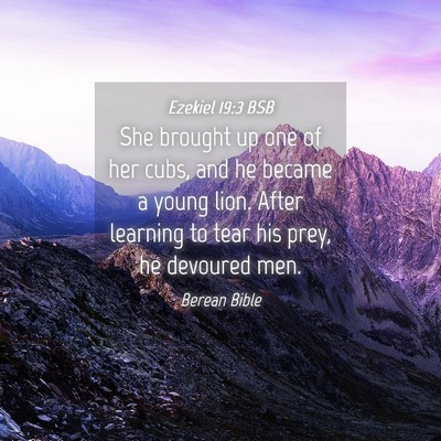 Picture 04 - Ezekiel 19:3 BSB - She brought up one of her cubs, and he became a - Bible Verse Picture