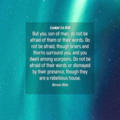 Picture 04 - Ezekiel 2:6 BSB - But you, son of man, do not be afraid of them or - Bible Verse Picture