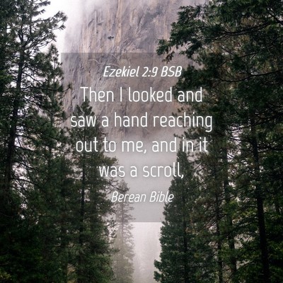 Picture 04 - Ezekiel 2:9 BSB - Then I looked and saw a hand reaching out to me, - Bible Verse Picture
