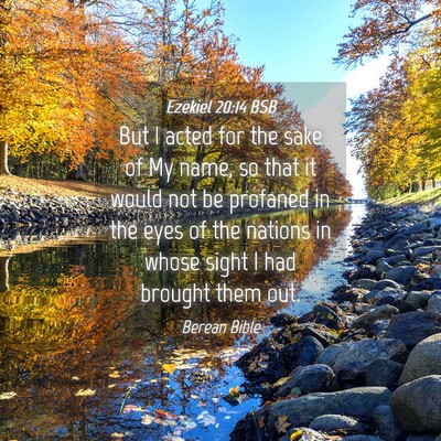 Picture 04 - Ezekiel 20:14 BSB - But I acted for the sake of My name, so that it - Bible Verse Picture