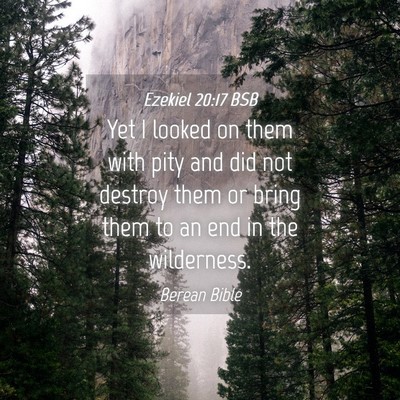 Picture 04 - Ezekiel 20:17 BSB - Yet I looked on them with pity and did not - Bible Verse Picture