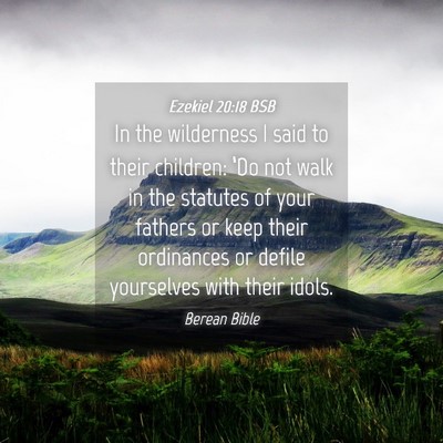 Picture 04 - Ezekiel 20:18 BSB - In the wilderness I said to their children: ‘Do - Bible Verse Picture