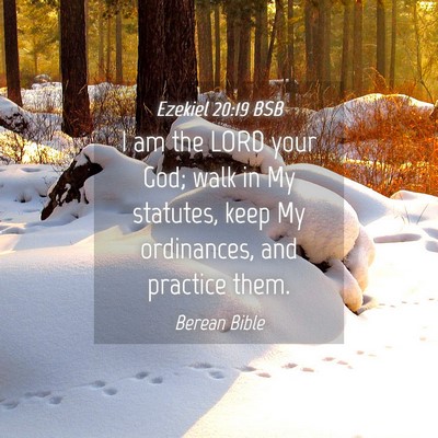 Picture 04 - Ezekiel 20:19 BSB - I am the LORD your God; walk in My statutes, keep - Bible Verse Picture