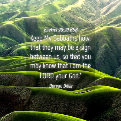 Picture 04 - Ezekiel 20:20 BSB - Keep My Sabbaths holy, that they may be a sign - Bible Verse Picture