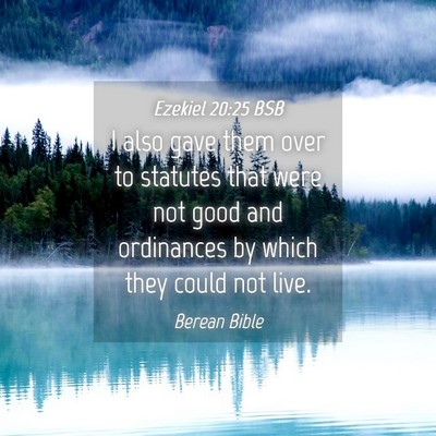 Picture 04 - Ezekiel 20:25 BSB - I also gave them over to statutes that were not - Bible Verse Picture