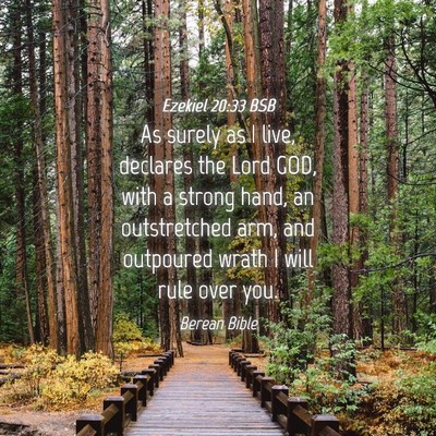 Picture 04 - Ezekiel 20:33 BSB - As surely as I live, declares the Lord GOD, with - Bible Verse Picture