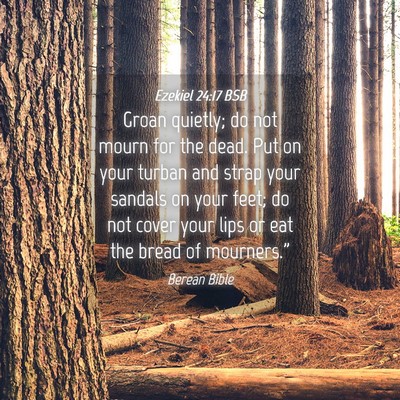 Picture 04 - Ezekiel 24:17 BSB - Groan quietly; do not mourn for the dead. Put on - Bible Verse Picture