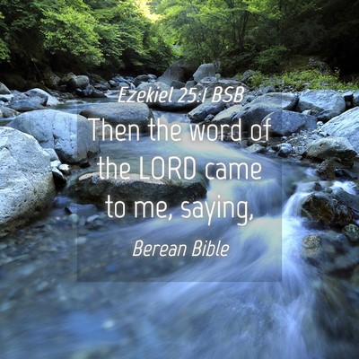 Picture 04 - Ezekiel 25:1 BSB - Then the word of the LORD came to me, - Bible Verse Picture