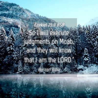 Picture 04 - Ezekiel 25:11 BSB - So I will execute judgments on Moab, and they - Bible Verse Picture