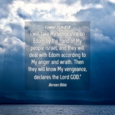 Picture 04 - Ezekiel 25:14 BSB - I will take My vengeance on Edom by the hand of - Bible Verse Picture
