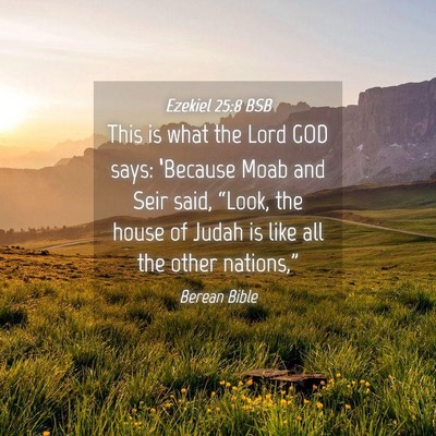 Picture 04 - Ezekiel 25:8 BSB - This is what the Lord GOD says: ‘Because Moab - Bible Verse Picture